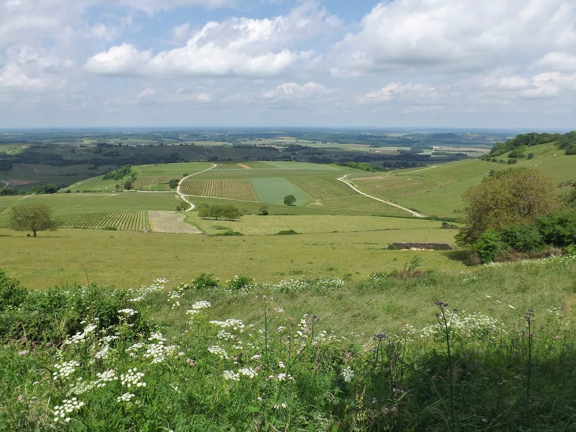 Jour 1 : Arbois, le vignoble et la reculée de Baume-les-Messieurs