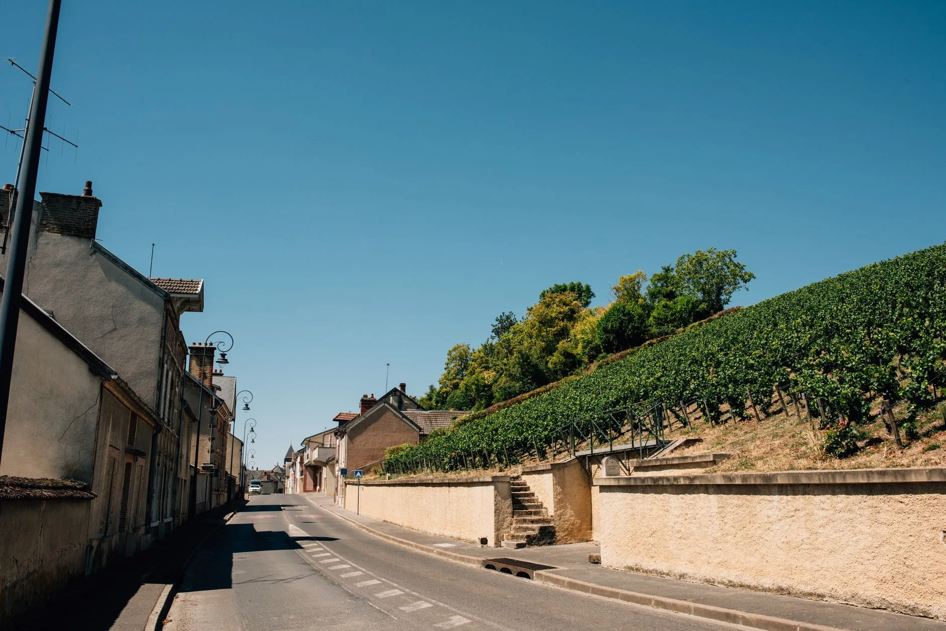 Arbois et le vignoble : la base gourmande