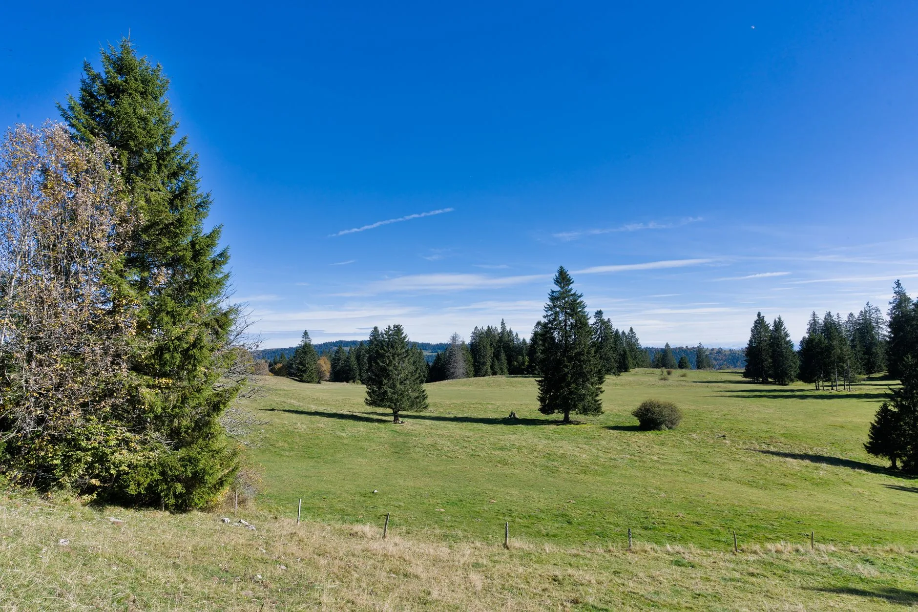 Les Rousses, Morez et Saint-Claude : le Haut-Jura