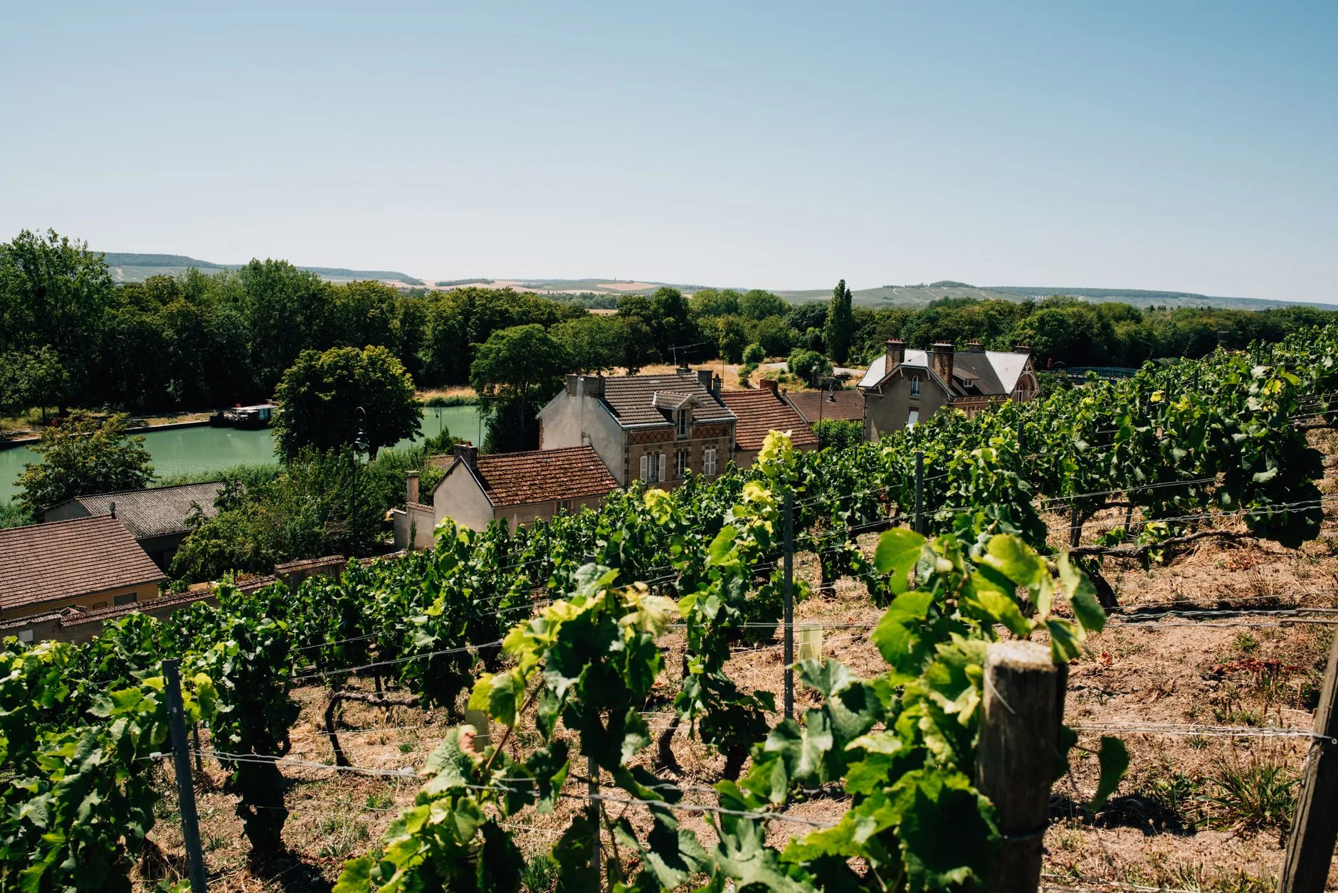 Arbois et Pupillin : le cœur du vignoble