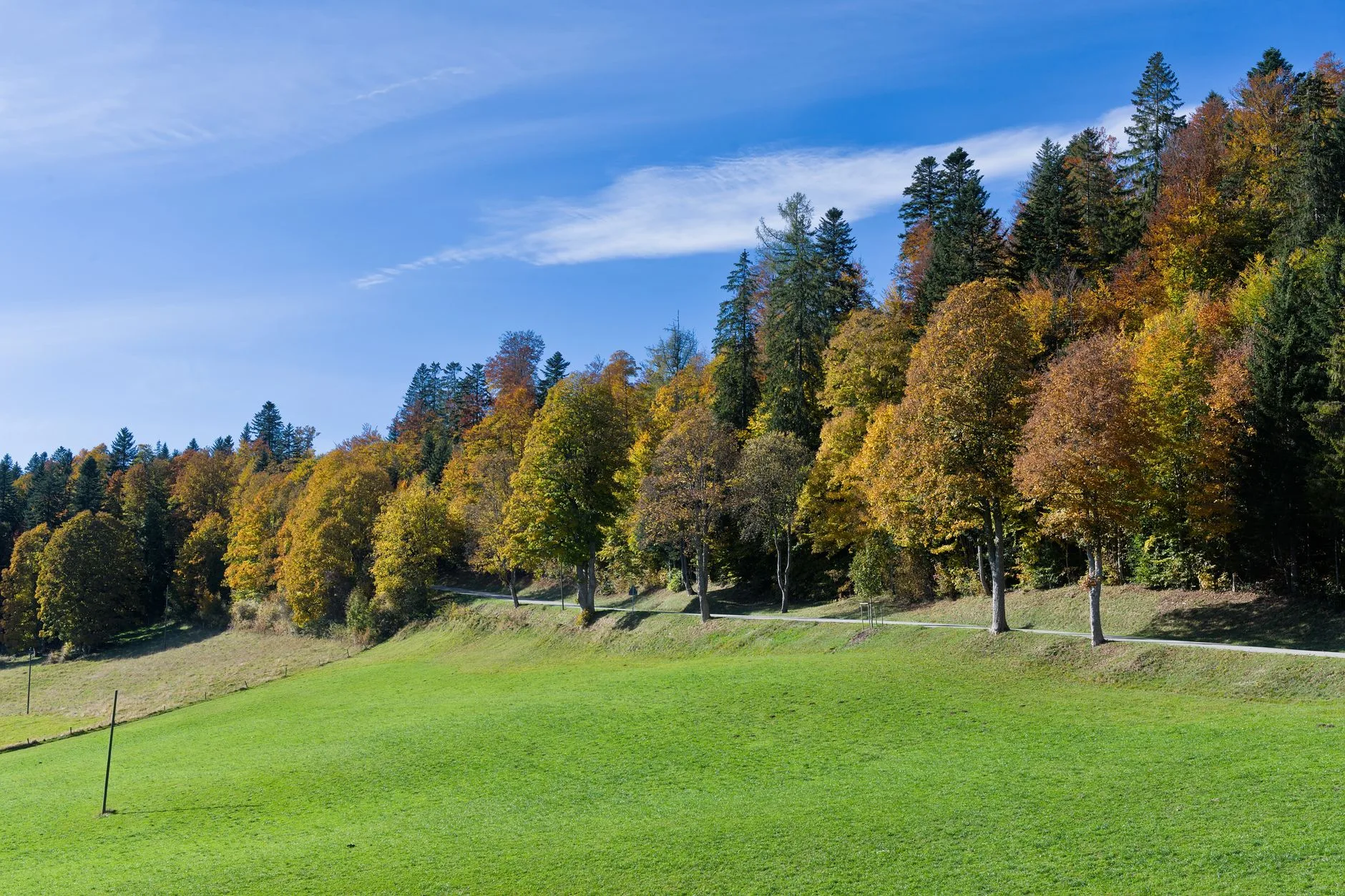 Route sinueuse dans un paysage de montagne du Jura
